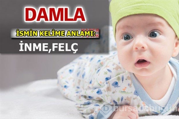 İsimlerin anlamları
