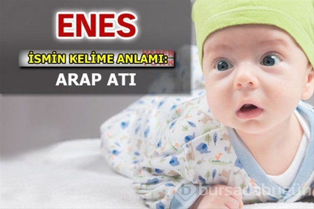 İsimlerin anlamları
