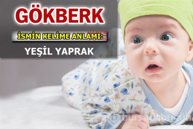 İsimlerin anlamları
