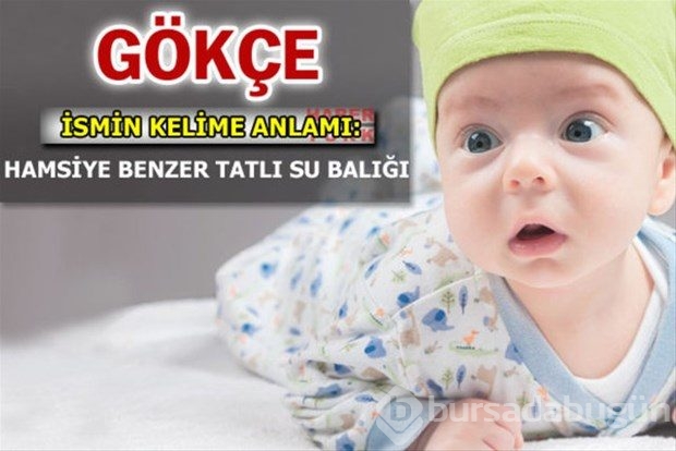 İsimlerin anlamları
