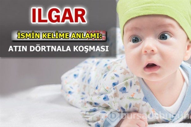 İsimlerin anlamları
