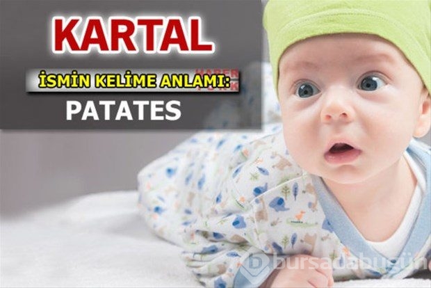 İsimlerin anlamları
