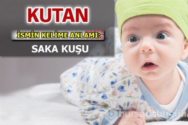 İsimlerin anlamları
