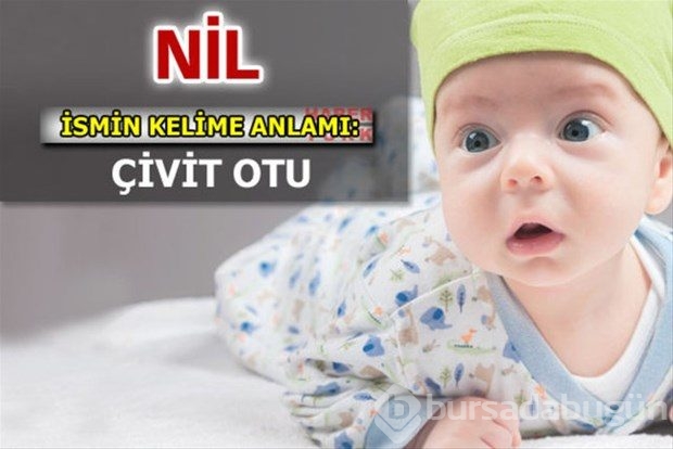 İsimlerin anlamları
