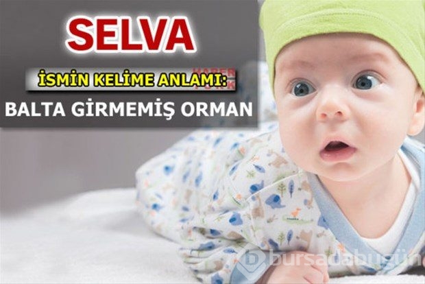 İsimlerin anlamları
