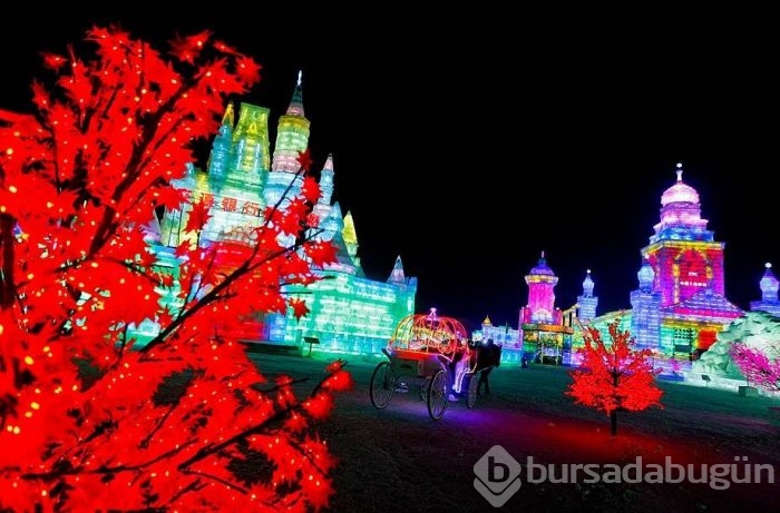 Çin'de Buz ve Kar Festivali	
