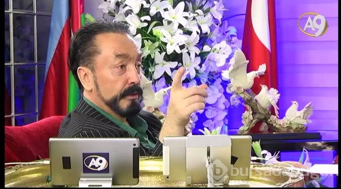 Kedicikler rekor kırdı
