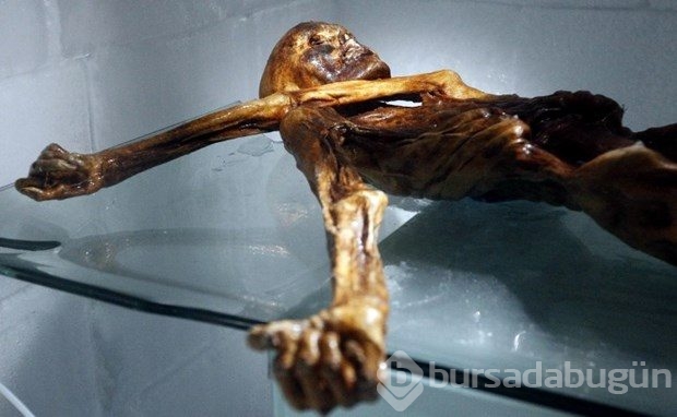 Buz adam Ötzi şaşırtmaya devam ediyor