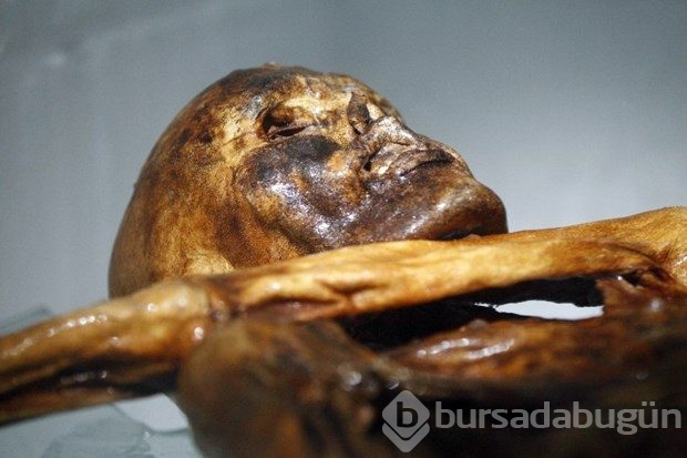 Buz adam Ötzi şaşırtmaya devam ediyor