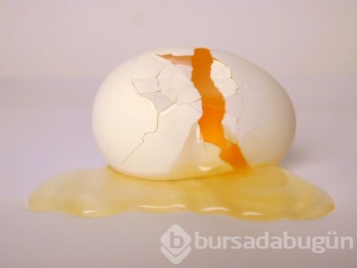 Yumurta kabuğunun faydaları