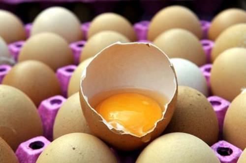 Yumurta kabuğunun faydaları