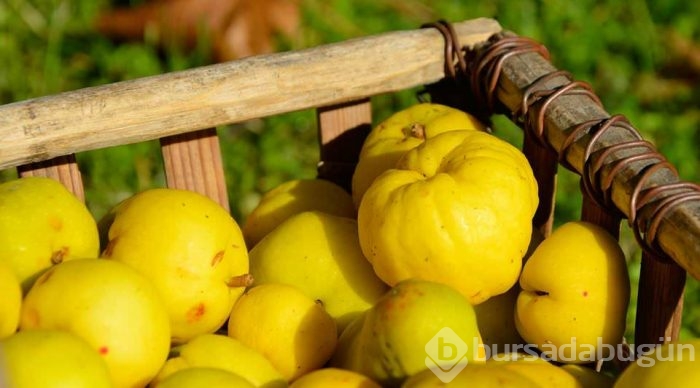 Ayva balla karıştırılıp tüketildiğinde bakın ne oluyor?