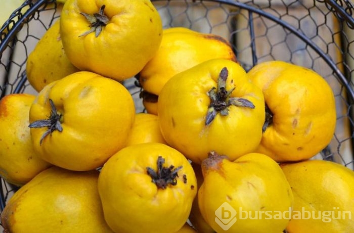 Ayva balla karıştırılıp tüketildiğinde bakın ne oluyor?