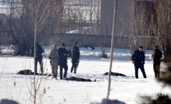 Van'daki Villada 12 PKK'lı Öldürüldü