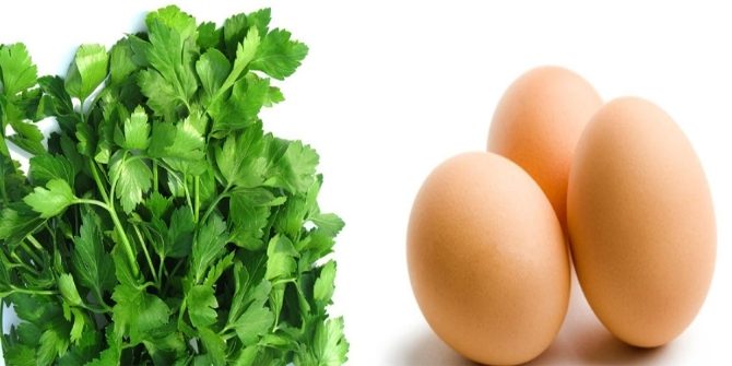 Hastalanmamak için yumurta ve maydanoz tüketin