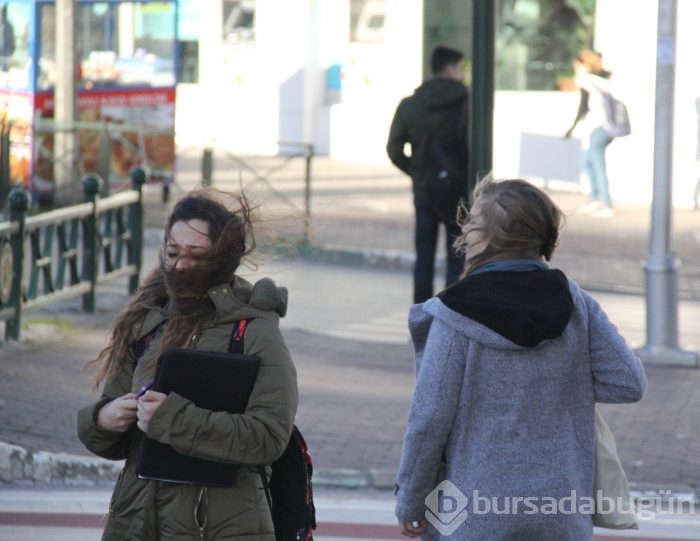 Lodos Bursa'da hayatı felç etti!	