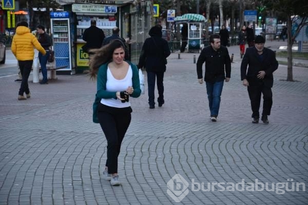 Lodos Bursa'da hayatı felç etti!	
