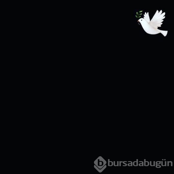 Ünlülerden Sultanahmet terörüne tepki yağdı	