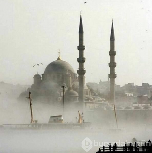 Ünlülerden Sultanahmet terörüne tepki yağdı	