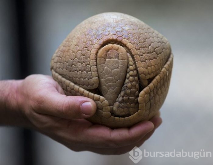 Bu fotoğrafı çekti ve eşinden boşandı!