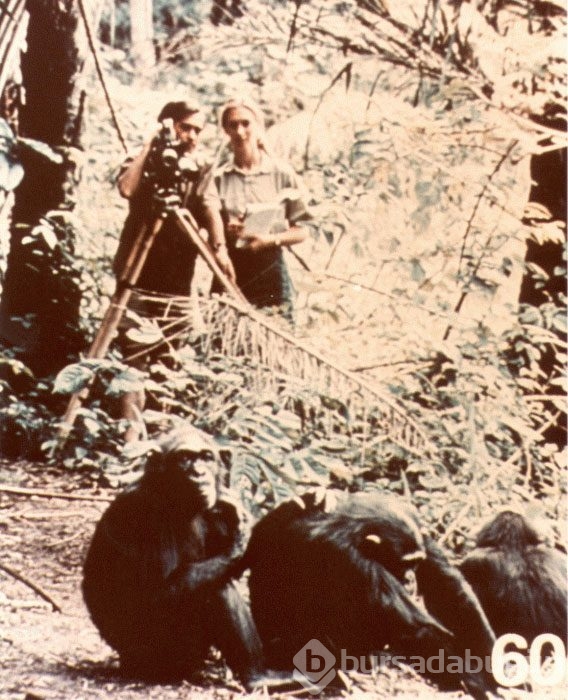 Uzaylılara gönderdiğimiz 116 fotoğraf
