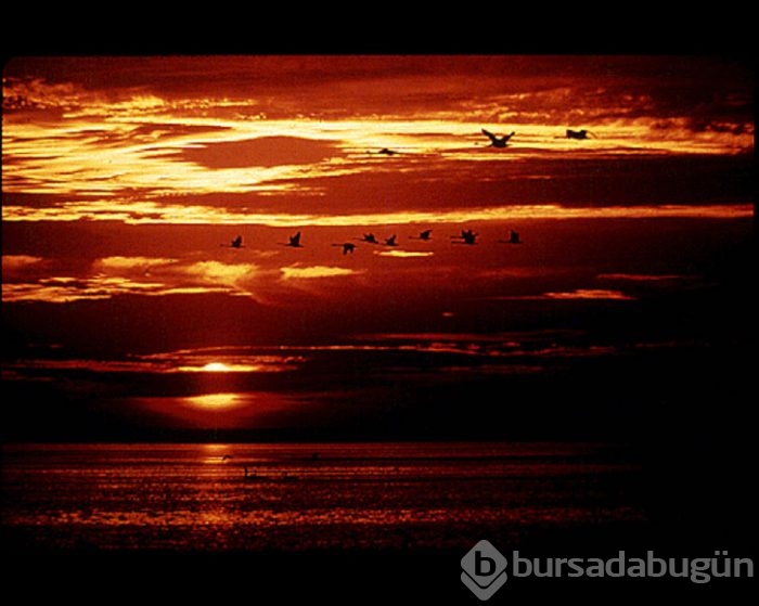 Uzaylılara gönderdiğimiz 116 fotoğraf
