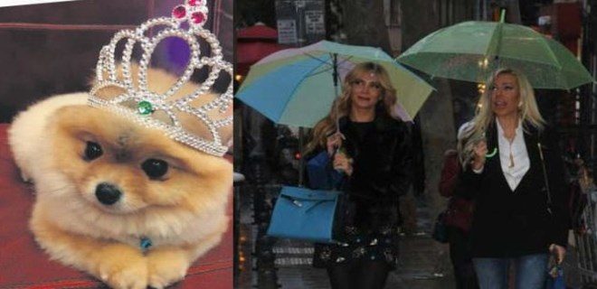 Hande Acar'dan Işıl Reçber'e 'köpek' teklifi
