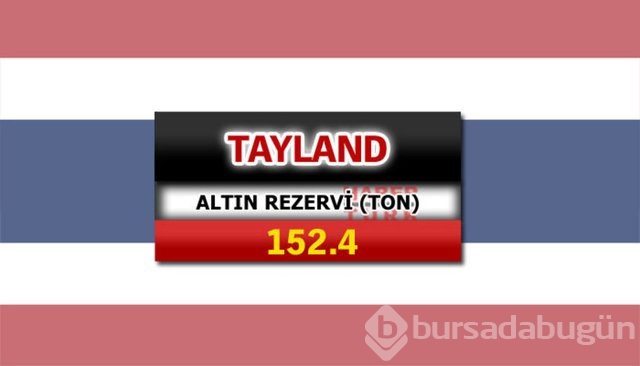 Hangi ülkede ne kadar altın var?
