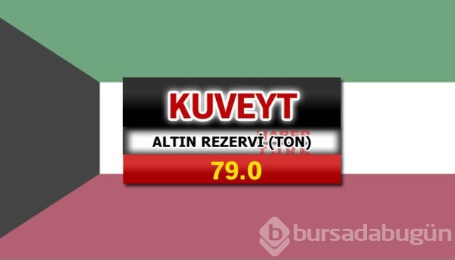Hangi ülkede ne kadar altın var?
