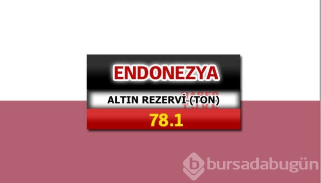 Hangi ülkede ne kadar altın var?
