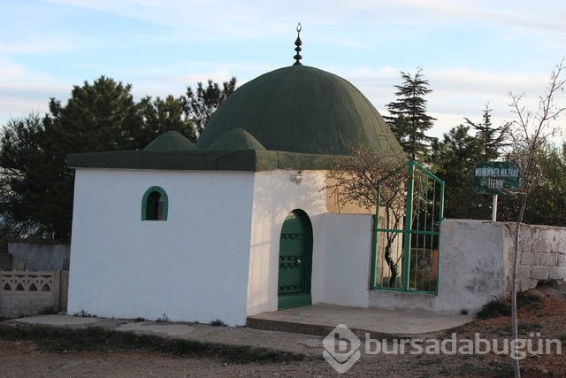 Hangi türbeden ne istiyorlar
