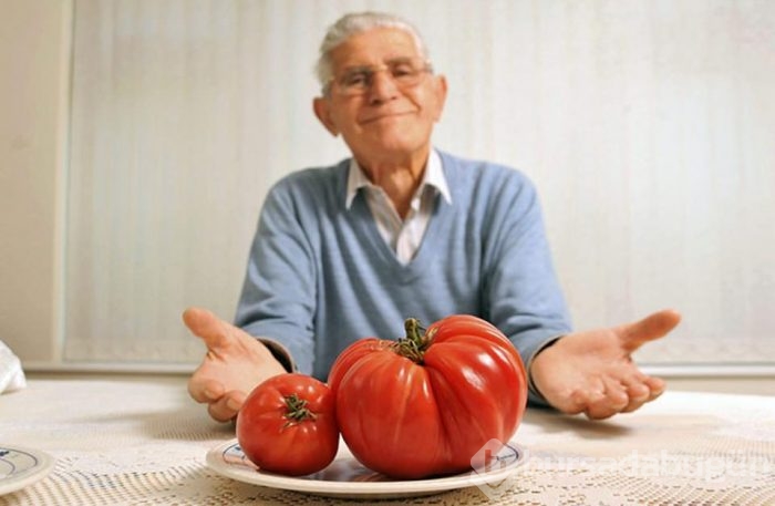Dev sebzeler	
