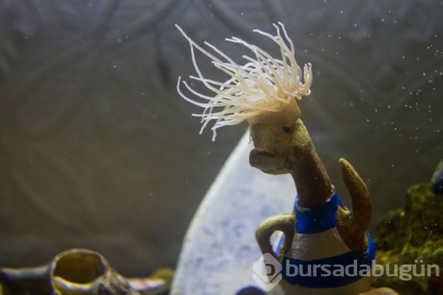 Dünyadan ilginç fotoğraflar
