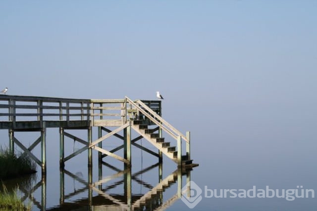 Dünyadan ilginç fotoğraflar
