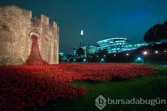 Dünyadan ilginç fotoğraflar
