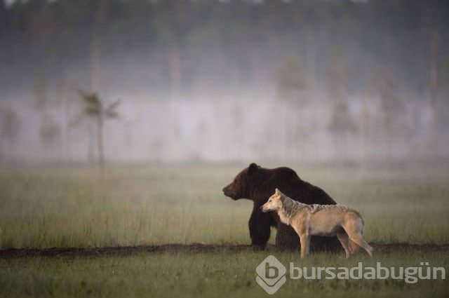Dünyadan ilginç fotoğraflar

