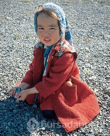 Tek amaçları hayatta kalmak
