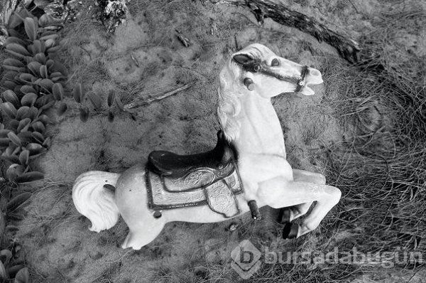 Burada herkes çıplak
