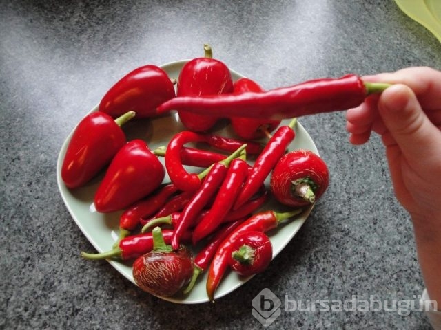 Bu yiyecekler sigara bıraktırıyor
