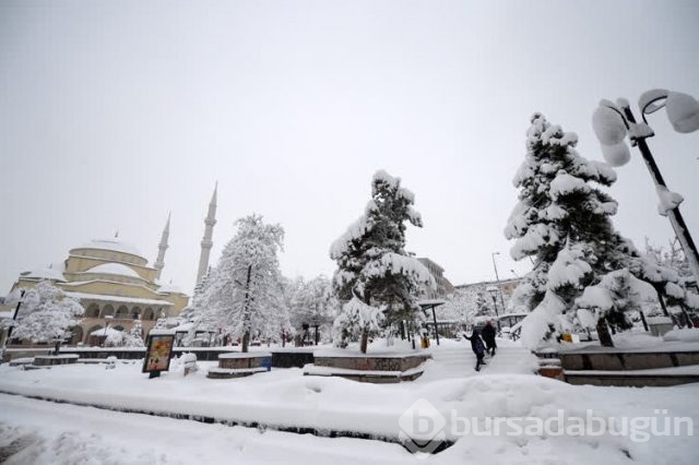 Doğu kara teslim
