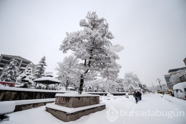 Doğu kara teslim
