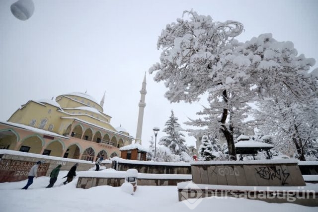 Doğu kara teslim
