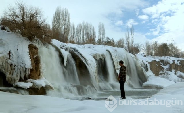 Doğu kara teslim
