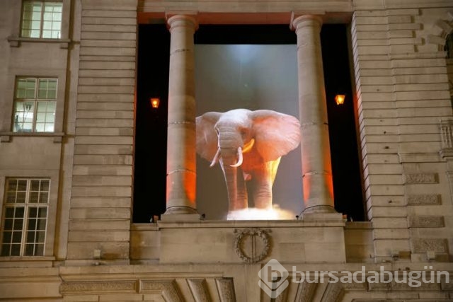 Lumiere ışık festivali
