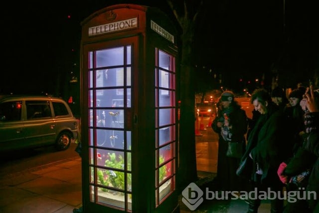 Lumiere ışık festivali
