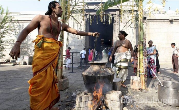 Thai Pongal Hindu Festivali Sri Lanka	
