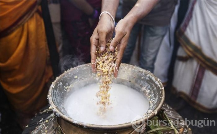 Thai Pongal Hindu Festivali Sri Lanka	
