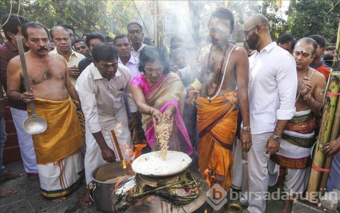 Thai Pongal Hindu Festivali Sri Lanka	
