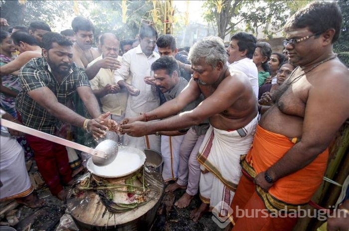 Thai Pongal Hindu Festivali Sri Lanka	
