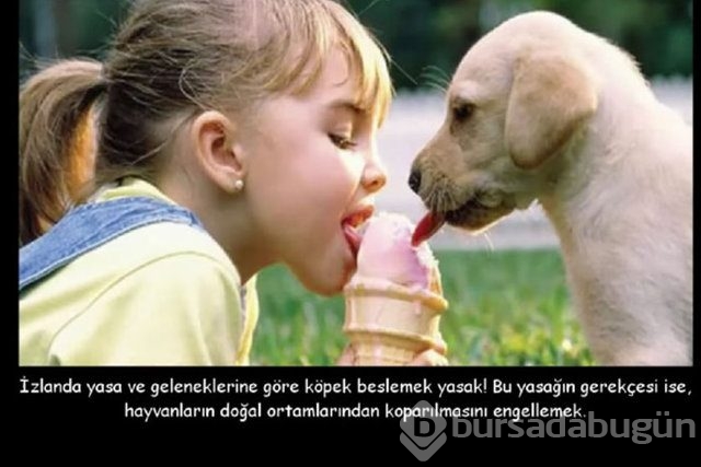Dünyanın en iğrenç 10 geleneği

